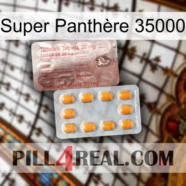 Super Panthère 35000 new13